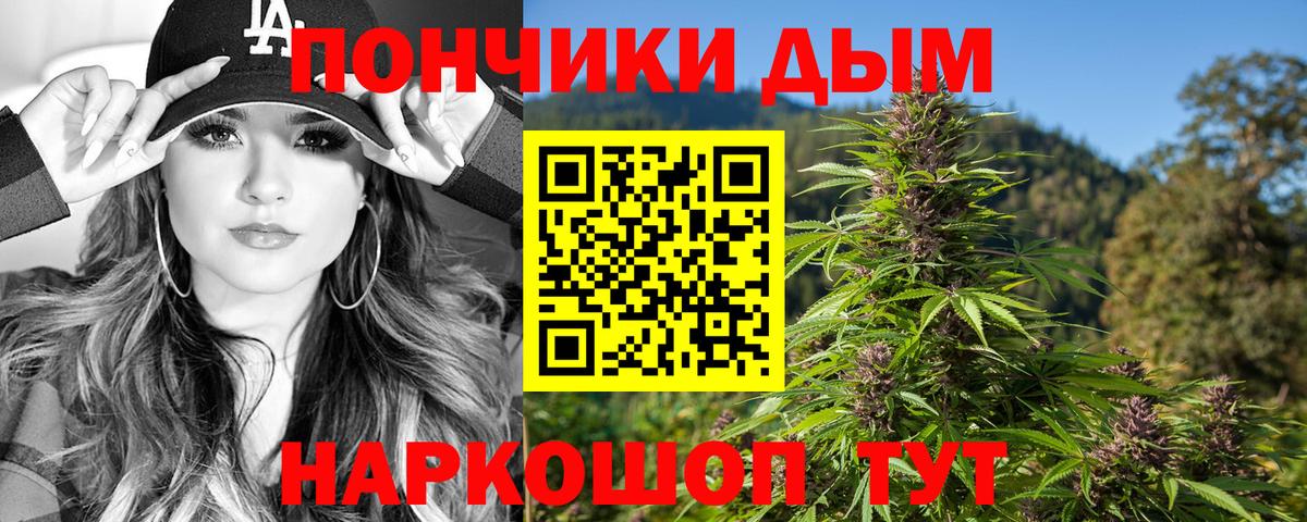 Шишки марихуана марихуана Кушва